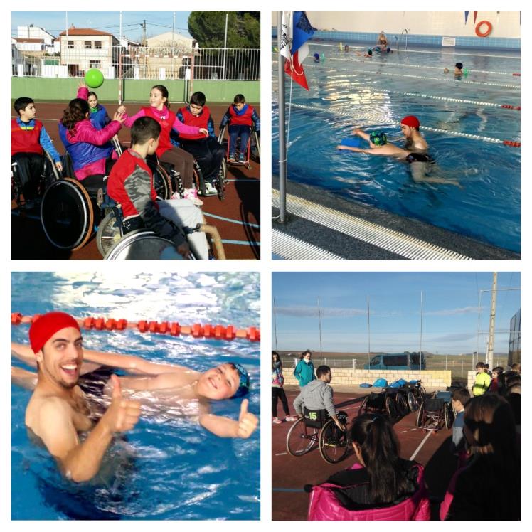 Club Natación Cádiz S D