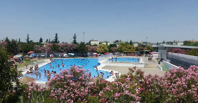 Piscinas En Albolote