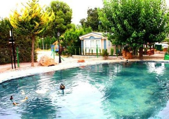 Piscinas En Totana
