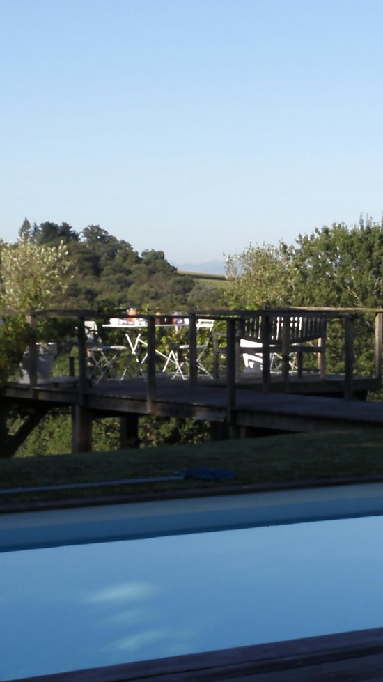 PISCINA CLIMATIZADA LA PALOMERA