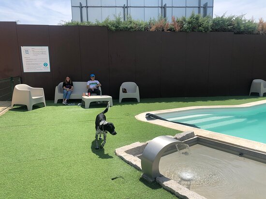 Piscina Las Rozas